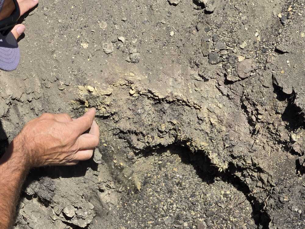 CB-North End Looking SE