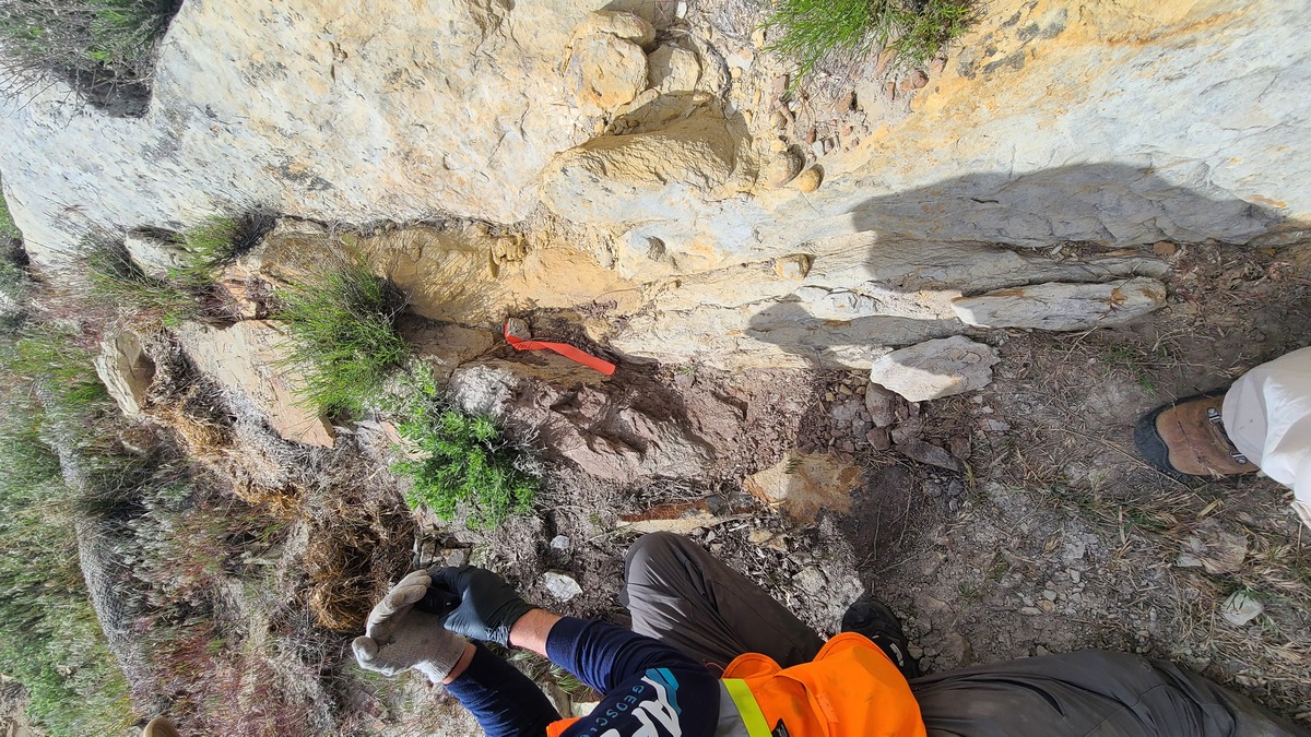 RW Trend - Looking ESE - closeup outcrop